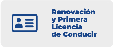 Renovación Licencias De Conducir