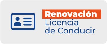 Renovación Licencias De Conducir